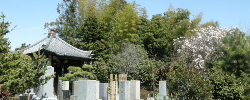 DSCN3202.JPG